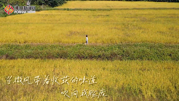 听～是风吹麦浪的声音，是七夕季我予你的甜蜜