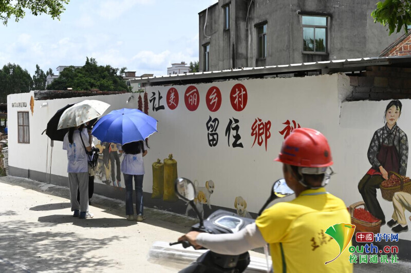 佛山学子三下乡：走进覃巴新村，共赏乡村之美