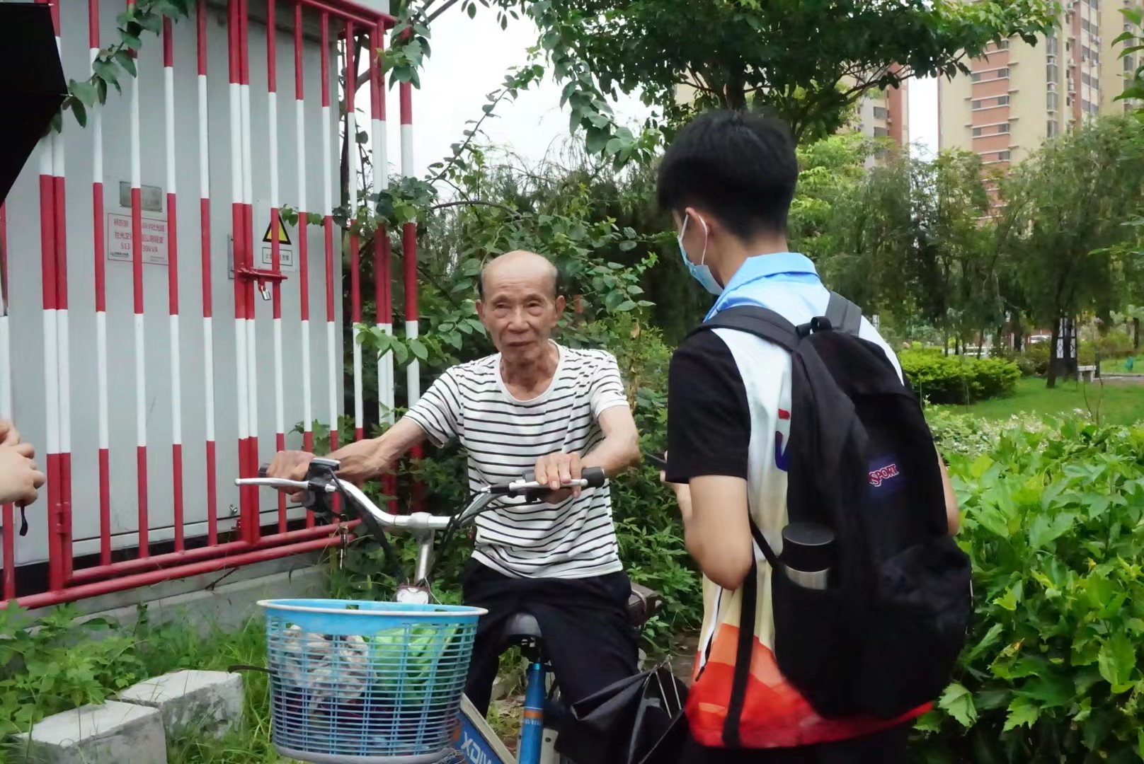 法润凤城｜辟乡村振兴之行，铸法治维稳之魂