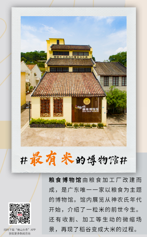 方寸之间览千年，走进佛山&ldquo;最有米&rdquo;的博物馆