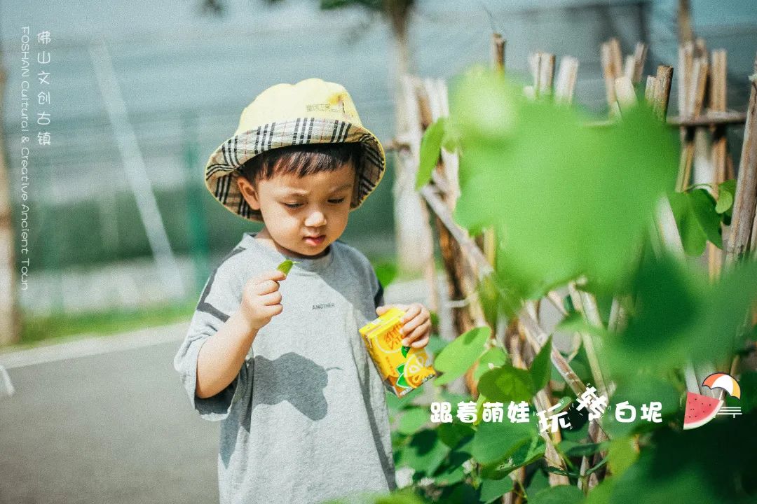 乐享白坭&ldquo;漫生活&rdquo;！萌娃带你打卡佛山文创古镇