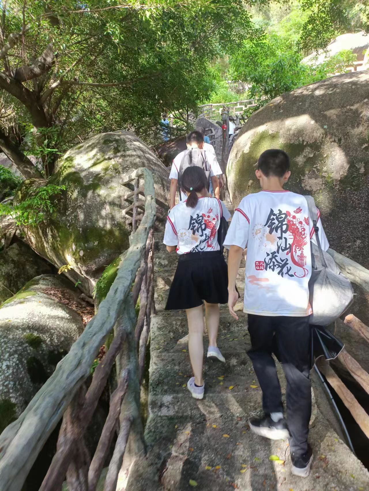 圆乡村振兴之梦，奋进新时代