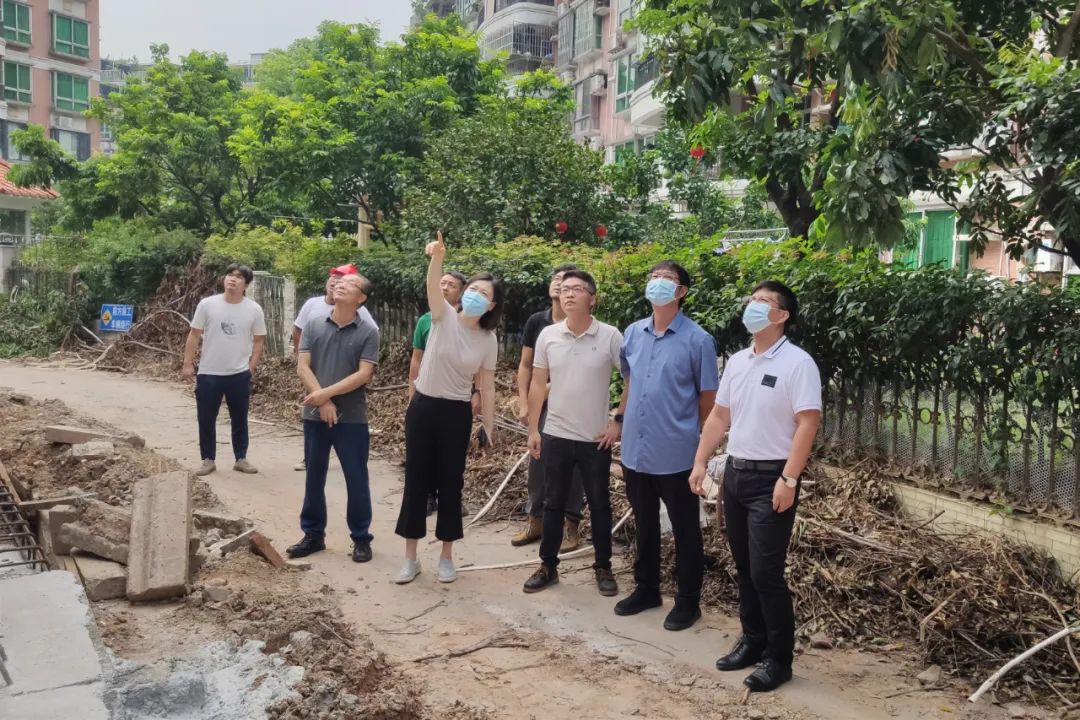 未雨绸缪，佛山市自然资源局打好&ldquo;台风地灾防御战&rdquo;
