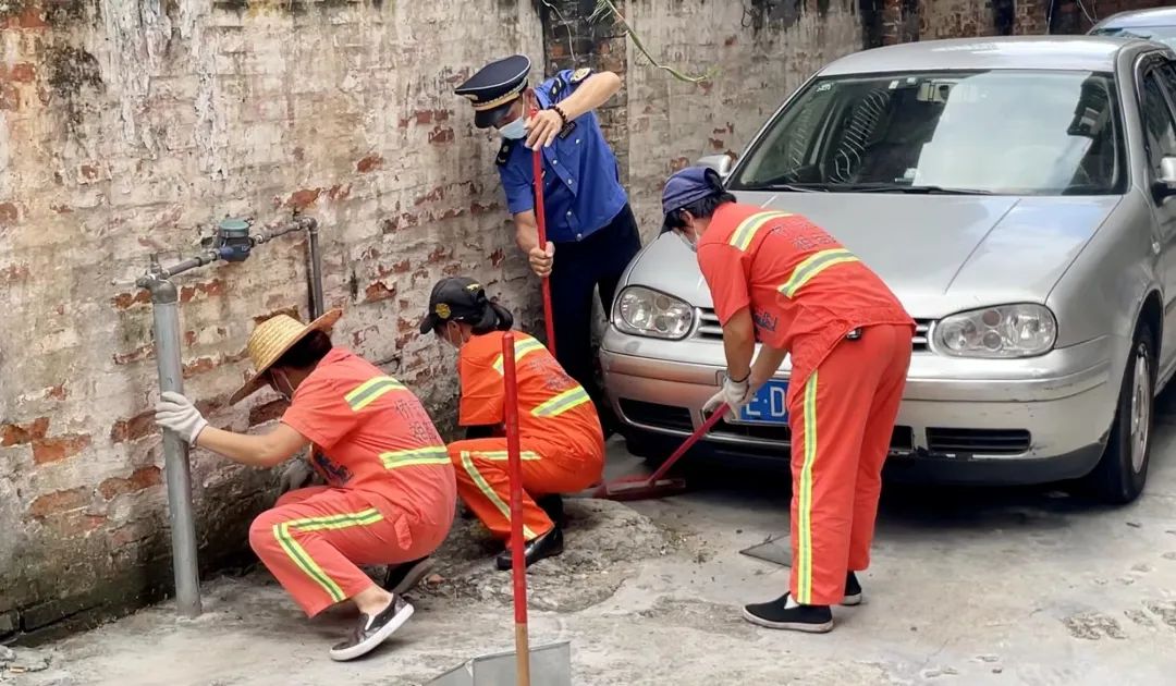 五区动态 | 常抓不懈齐努力，市容市貌焕新颜