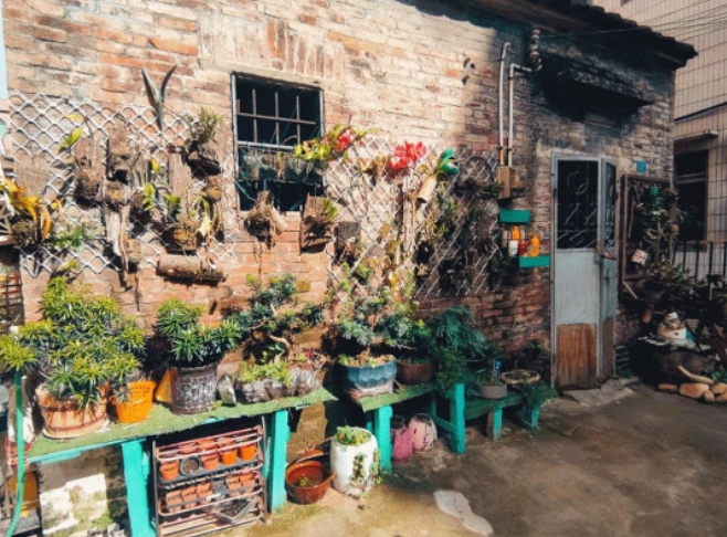 门口庭院，人间清欢！大沥这几个庭院&ldquo;颜值&rdquo;超高