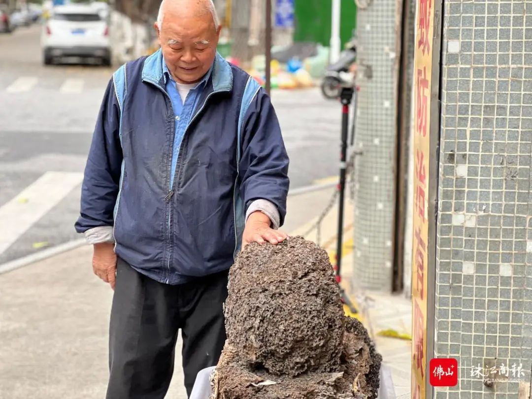 点赞！83岁的顺德&ldquo;蚁人&rdquo;