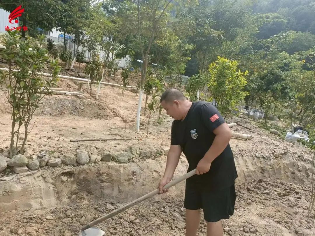 志愿之城 | 爱岗敬业倾心奉献，他为菠萝义工队勇担当