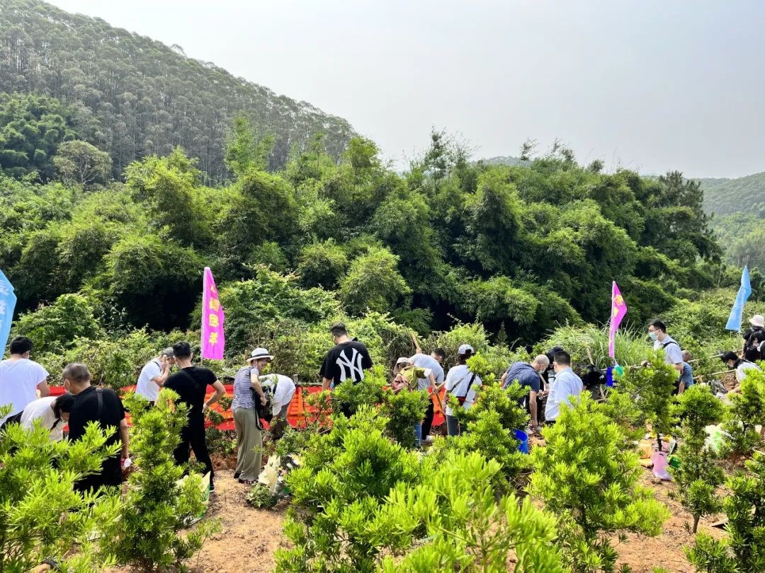 佛山举办骨灰植树公益活动，倡导绿色文明殡葬新风！
