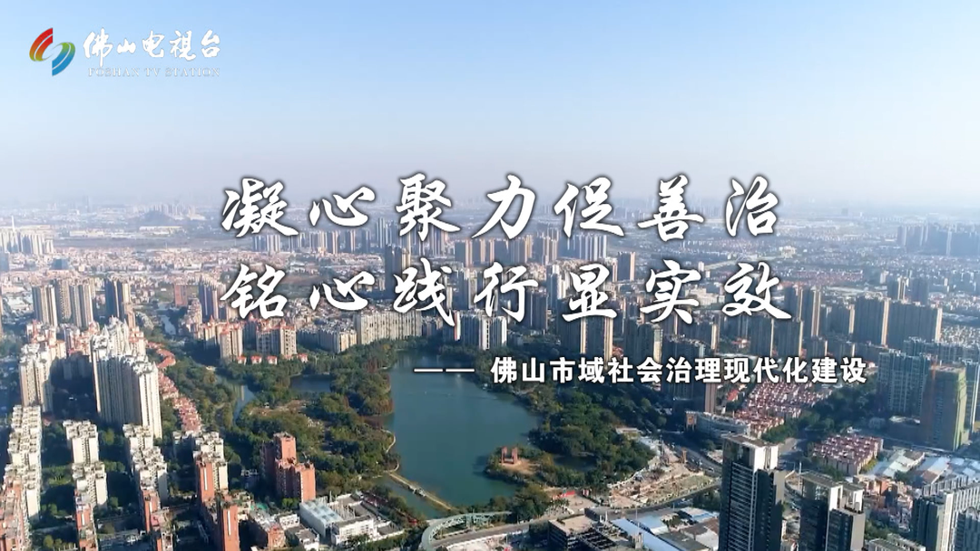 智防共治！佛山市域社会治理新模式稳步向前