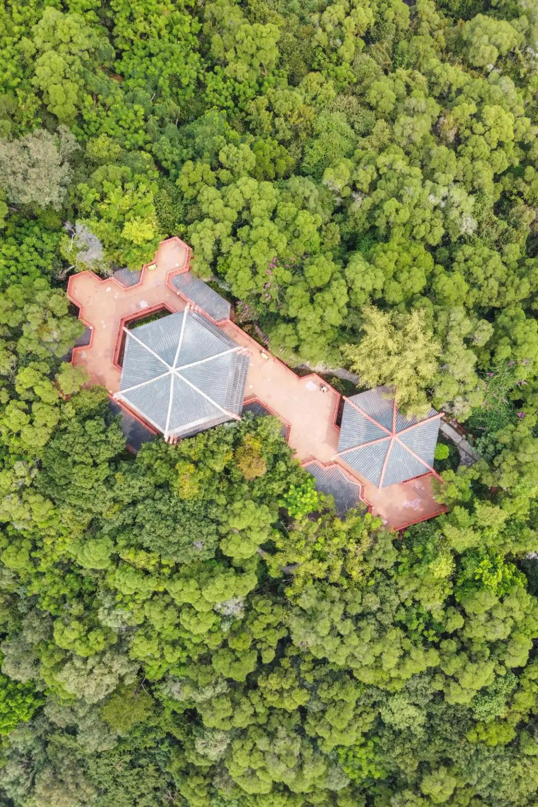 顺德有个光影小&ldquo;秘密&rdquo;，一瞰凤城独特小浪漫！
