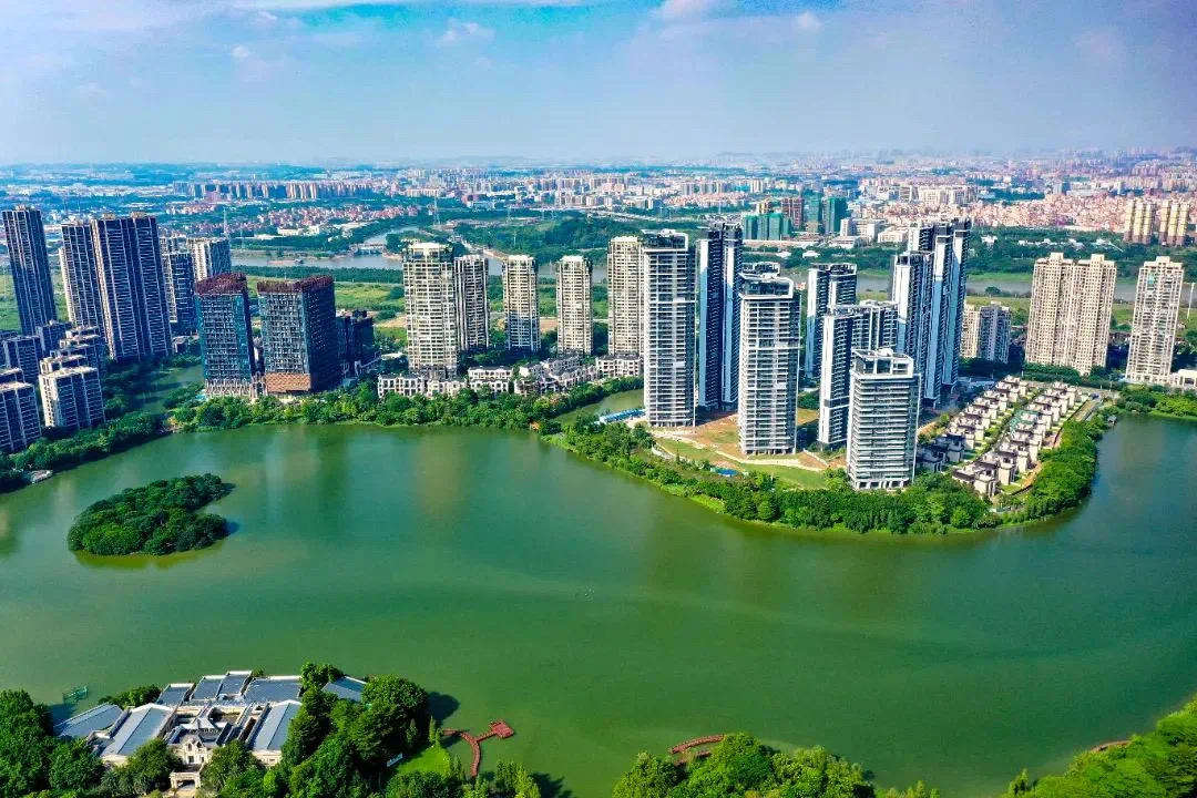 艺术气息越来越浓厚！这位画家考虑将工作室搬到绿岛湖