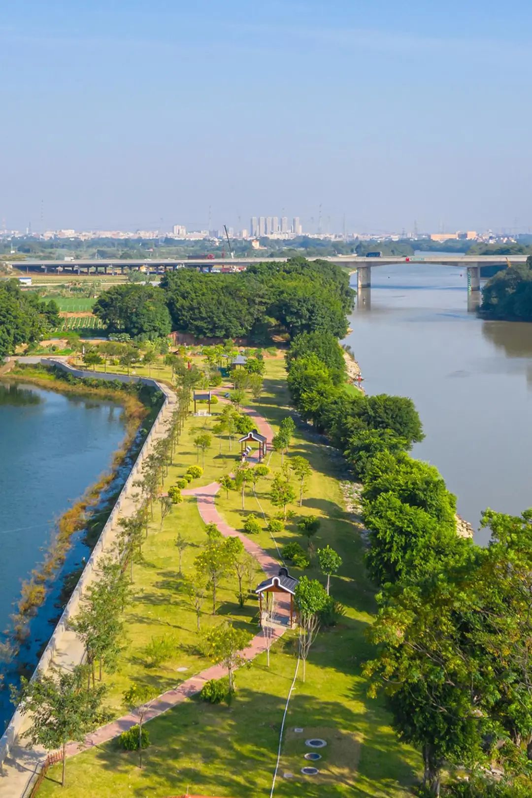 乡村振兴 | 佛山建设乡村&ldquo;四小园&rdquo;，打造美丽文明风景线