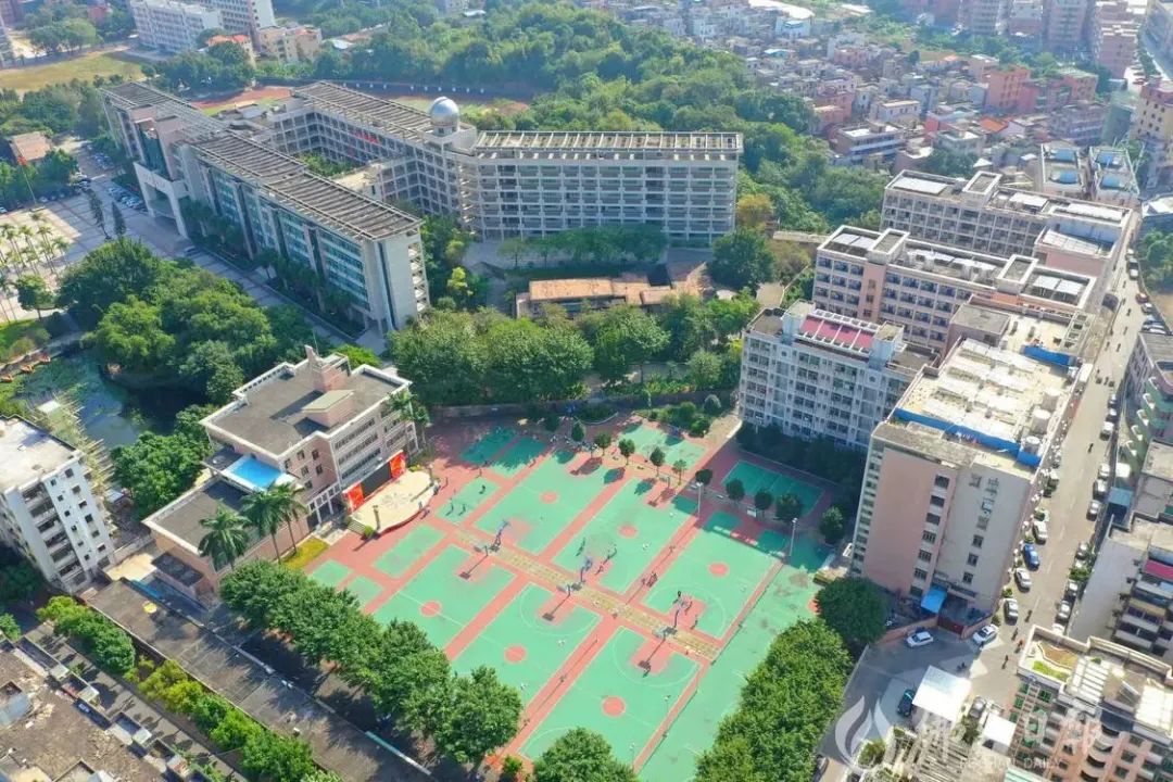 育文明学生，创文明校园！让文明之花在校园美丽绽放
