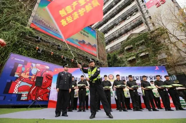 打造&ldquo;公安+物联&rdquo;模式，调动各方力量参与社会治理
