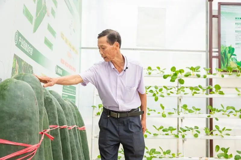 学好人 | &ldquo;广东好人&rdquo;李广彬：农业探路先锋的&ldquo;好人担当
