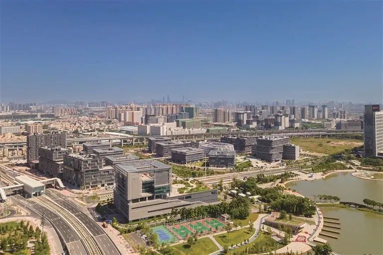 全力打造一流营商环境，奋力开创佛山现代化建设新局面