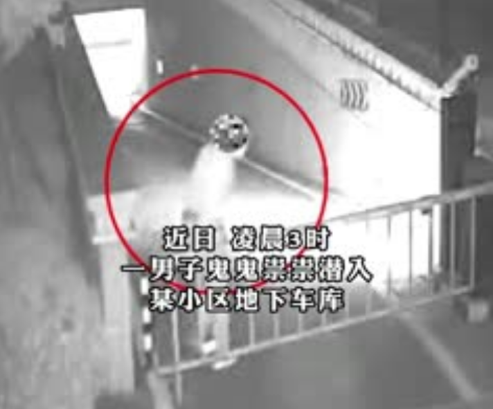 警保联动，共演车库&ldquo;猫捉老鼠&rdquo;