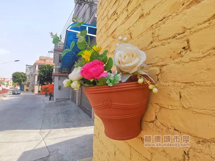 顺德均安这条2100米&ldquo;鲜花街&rdquo;，要出圈啦！