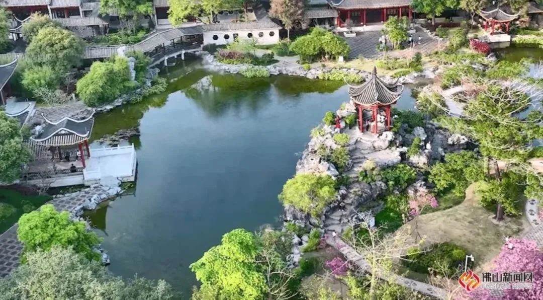 留在顺德春日的绿色里，一起&ldquo;森呼吸&rdquo;！