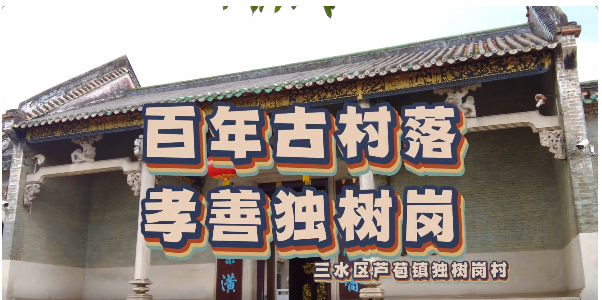 佛山独树岗：百年古村落 孝善独树岗 