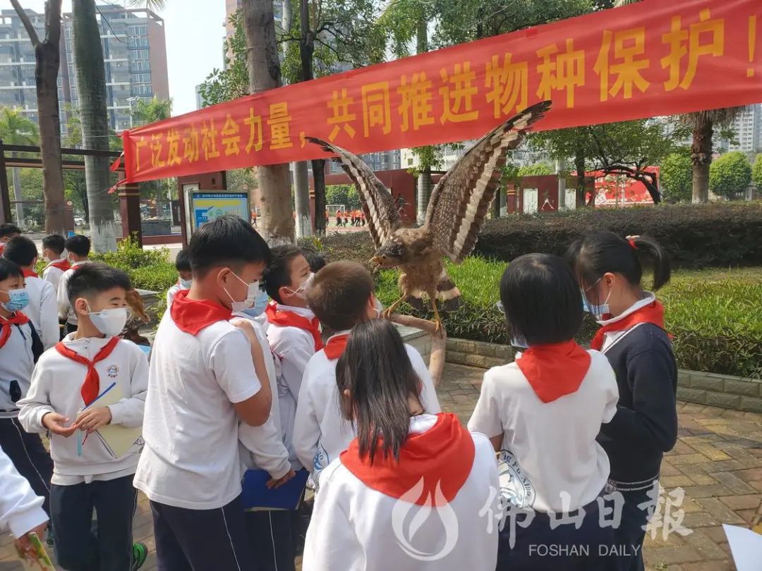 见&ldquo;圾&rdquo;行事！&ldquo;红绿蓝灰&rdquo;你投对了吗？