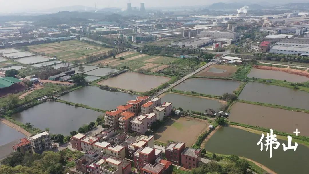 跨村集约连片用地，白坭农村&ldquo;三资&rdquo;改革如何突破？