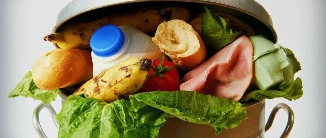 典型案例！制止餐饮浪费，多地开出罚单！