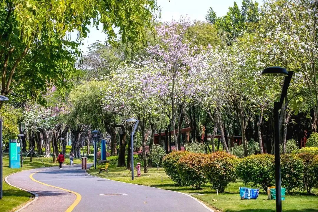 在佛山，遇见春日小森林