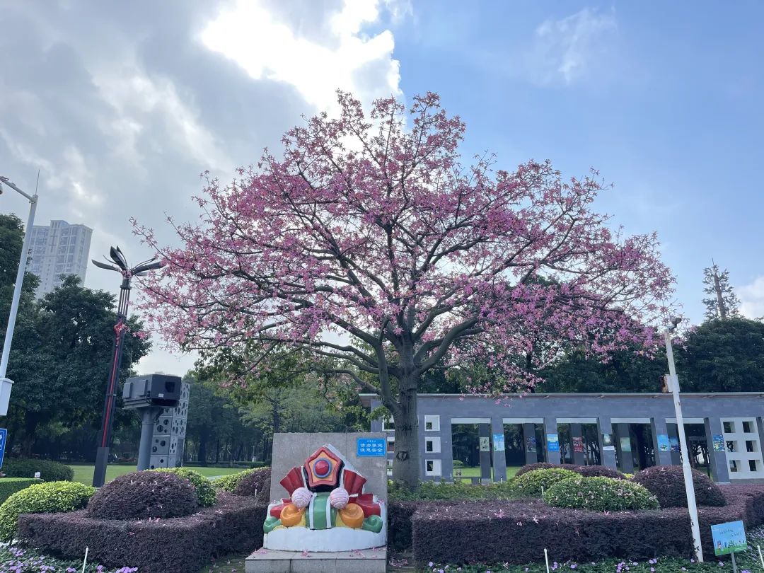 斩获省级园林工程奖项！禅城国企用绣花功夫建设绿美禅城
