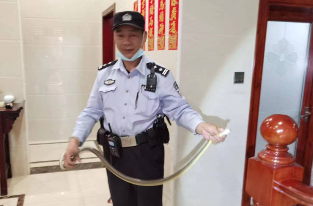 2米长的&ldquo;不速之客&rdquo;闯入家中 &ldquo;捕蛇达人&rdquo;紧急上线