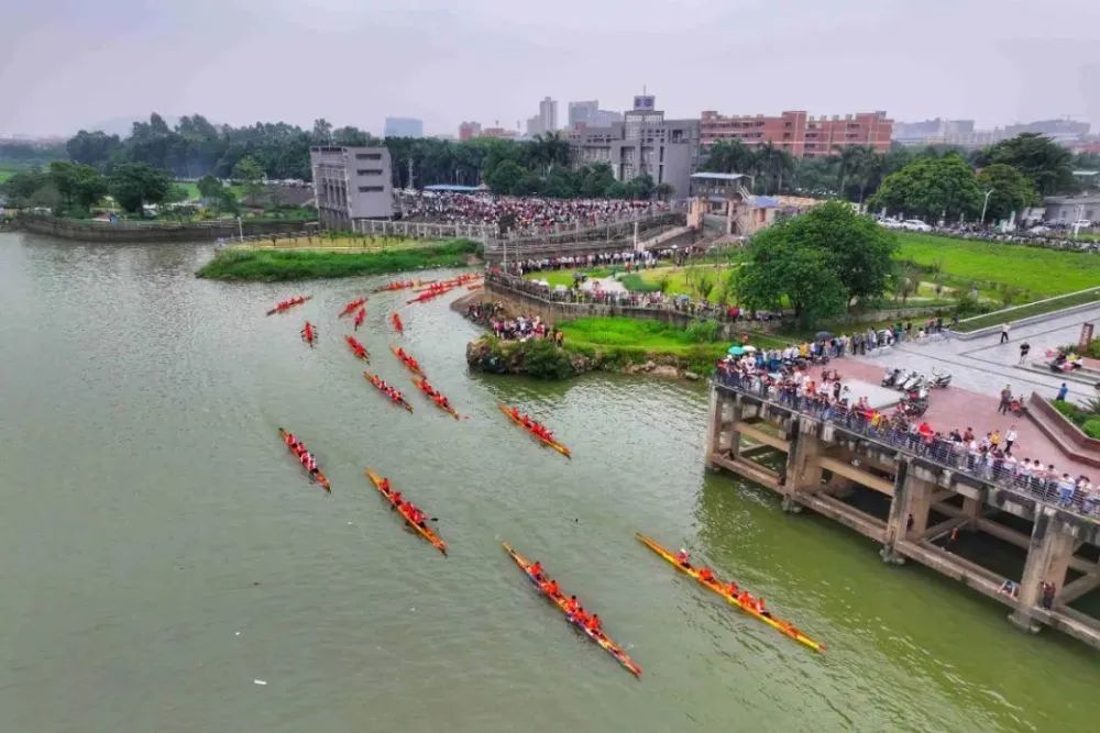 新华社两度聚焦！佛山醒狮龙舟双出圈&rarr;