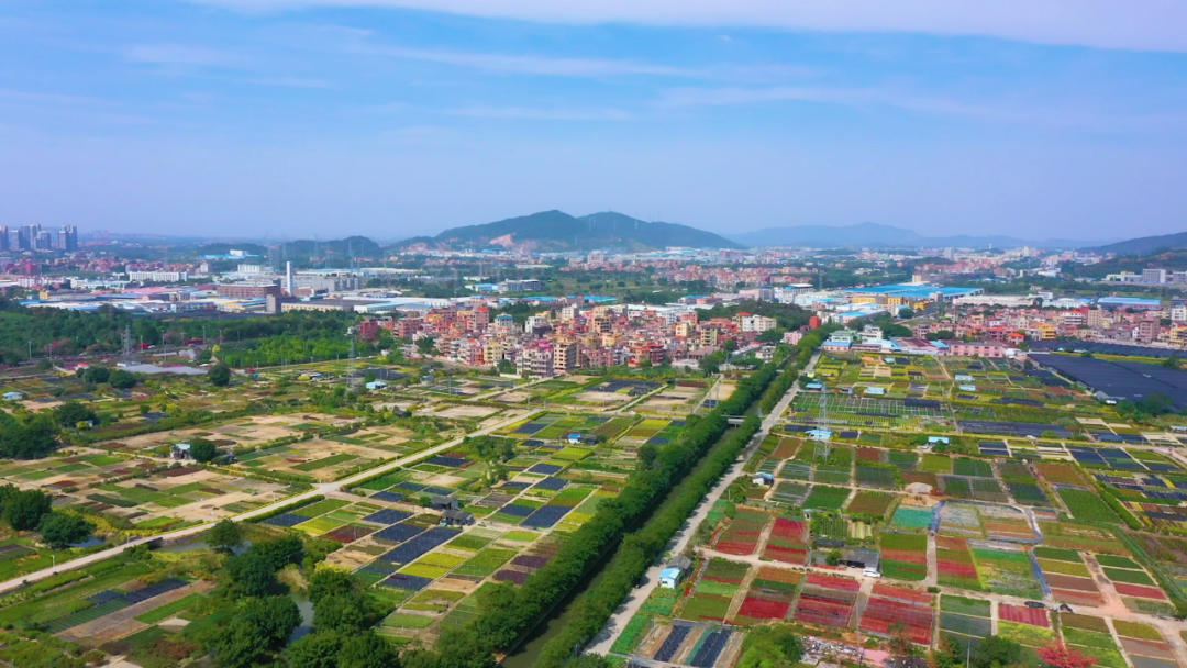 小积分大治理，破解南海区基层善治密码
