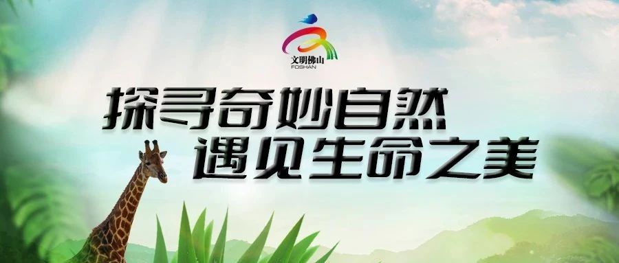 网络文明传播&nbsp;|&nbsp;探寻奇妙自然&nbsp;遇见生命之美