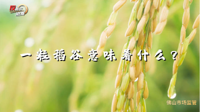 制止餐饮浪费 佛山市场监管与您同在