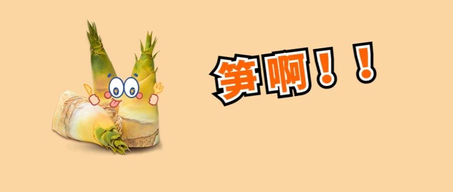 全市首个！禅城区出台公平竞争审查第三方评估办法