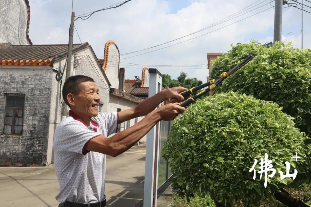 学好人 | 佛山这位好女婿、好村长，人人夸赞！