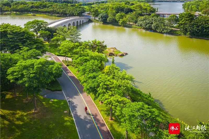 省级试点+1！顺德桂畔湖被纳入省级水经济试点