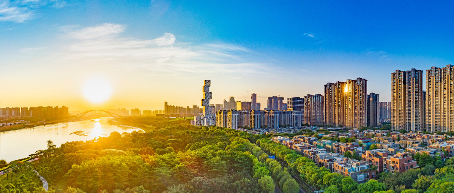 市发展改革局：踔厉奋发担使命 奋楫争先谋新篇