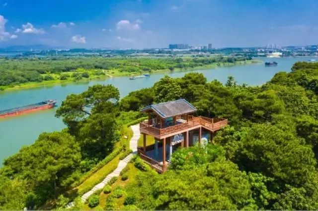 践行绿色发展理念，佛山全力建设美丽幸福河湖！