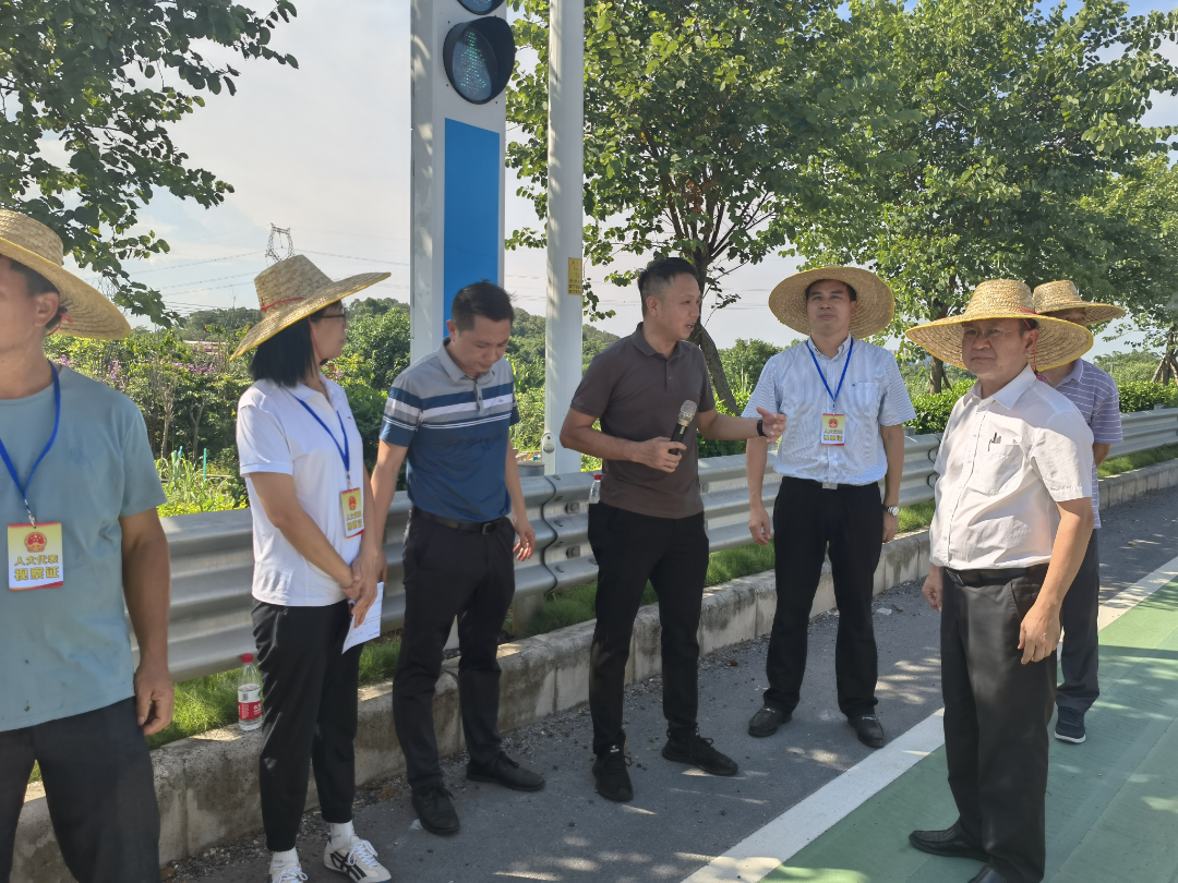 人大代表来监督，力促&ldquo;民生十件实事&rdquo;落地
