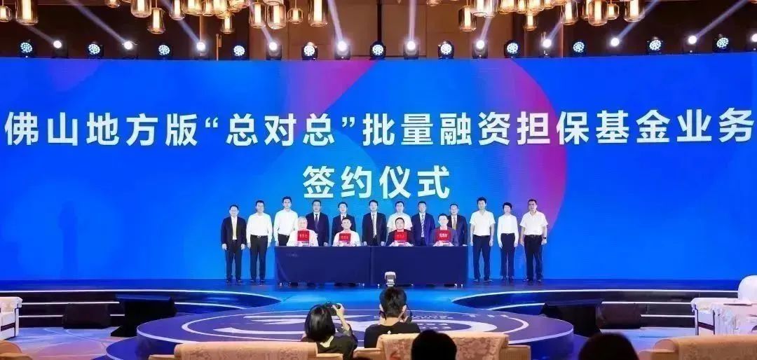 共商共建政府性融资担保体系 助力实体经济高质量发展 