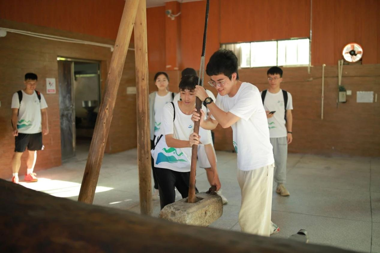 莓丽乡村走进龙川：探古法茶油之奥秘，用乡土味道铺就乡村振兴&ldquo;共富&rdquo;路