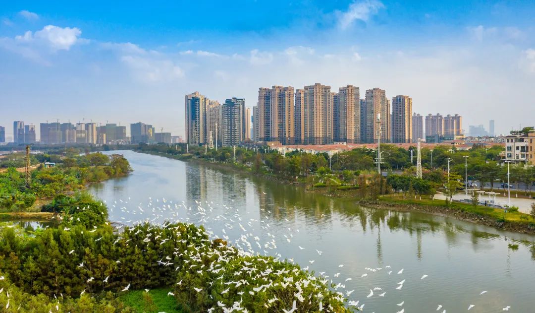 掂水！顺德水质排名全市第一！