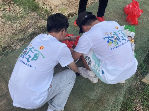 莓丽乡村走进龙川：优化土壤环境，助力草莓产量提升
