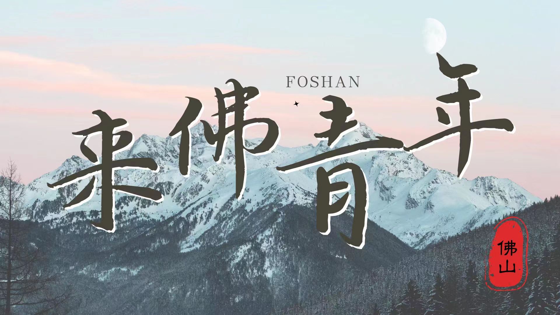 佛科院学子三下乡：走访佛山五区调研，助力打造青年发展型城市