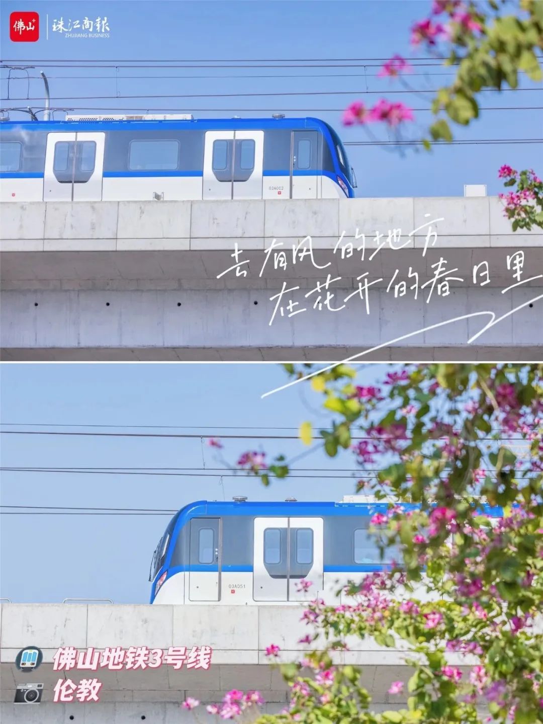 在街头走一走，看见&ldquo;千面顺德&rdquo;！