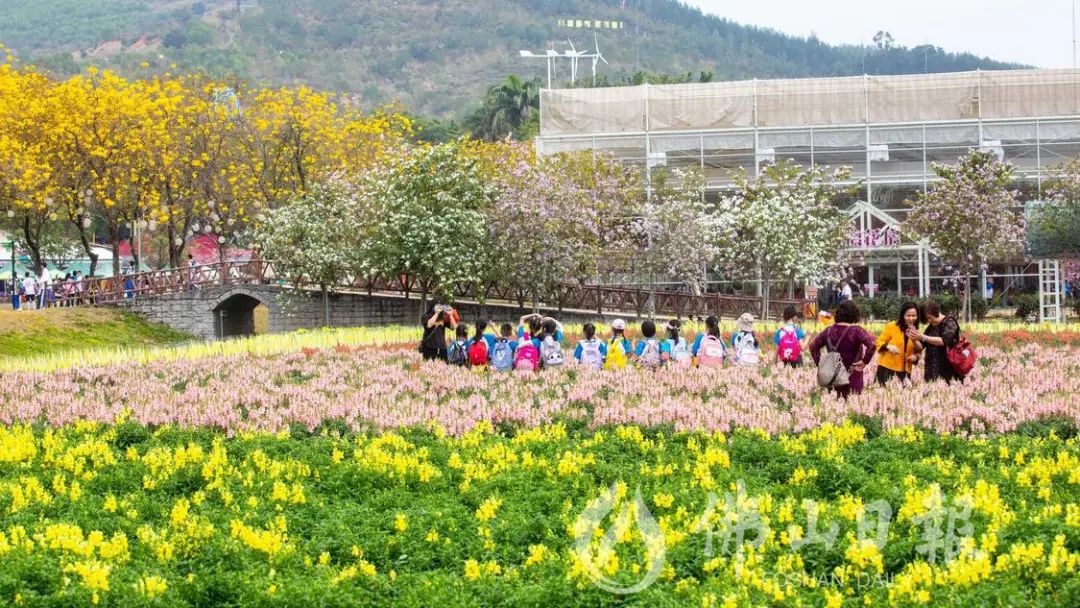 入选全国精品路线！佛山乡村太美了