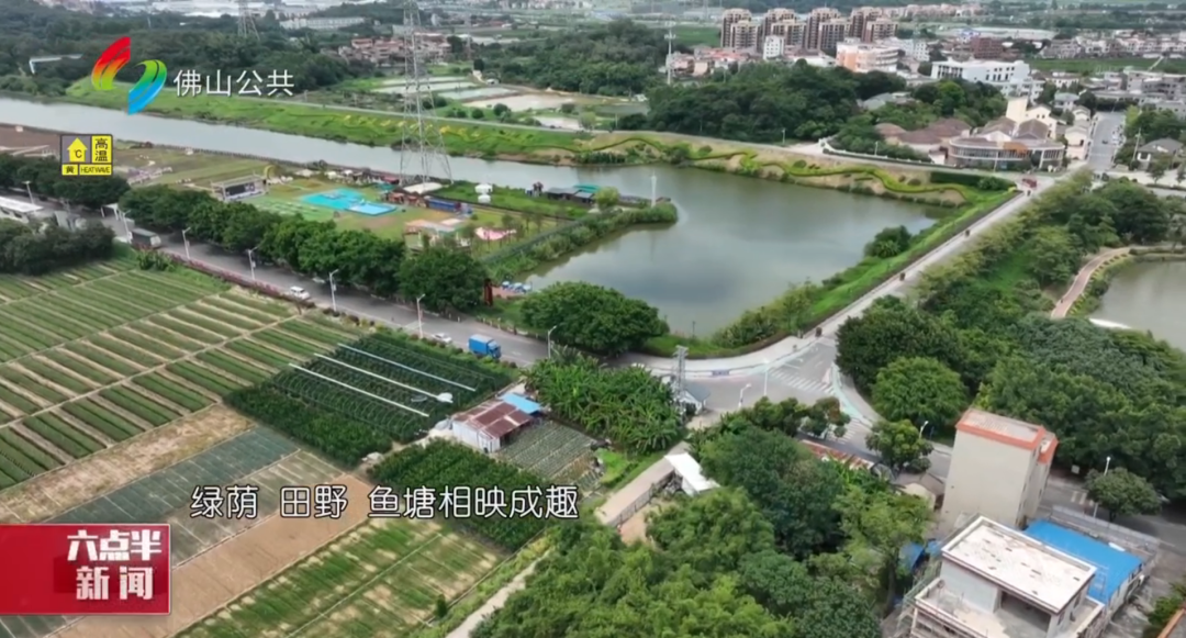 三水白坭：&ldquo;最美农村路&rdquo;铺就乡村振兴&ldquo;快车道&rdquo;