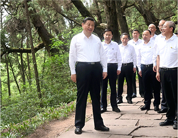 好好学习丨望山看水有乡愁