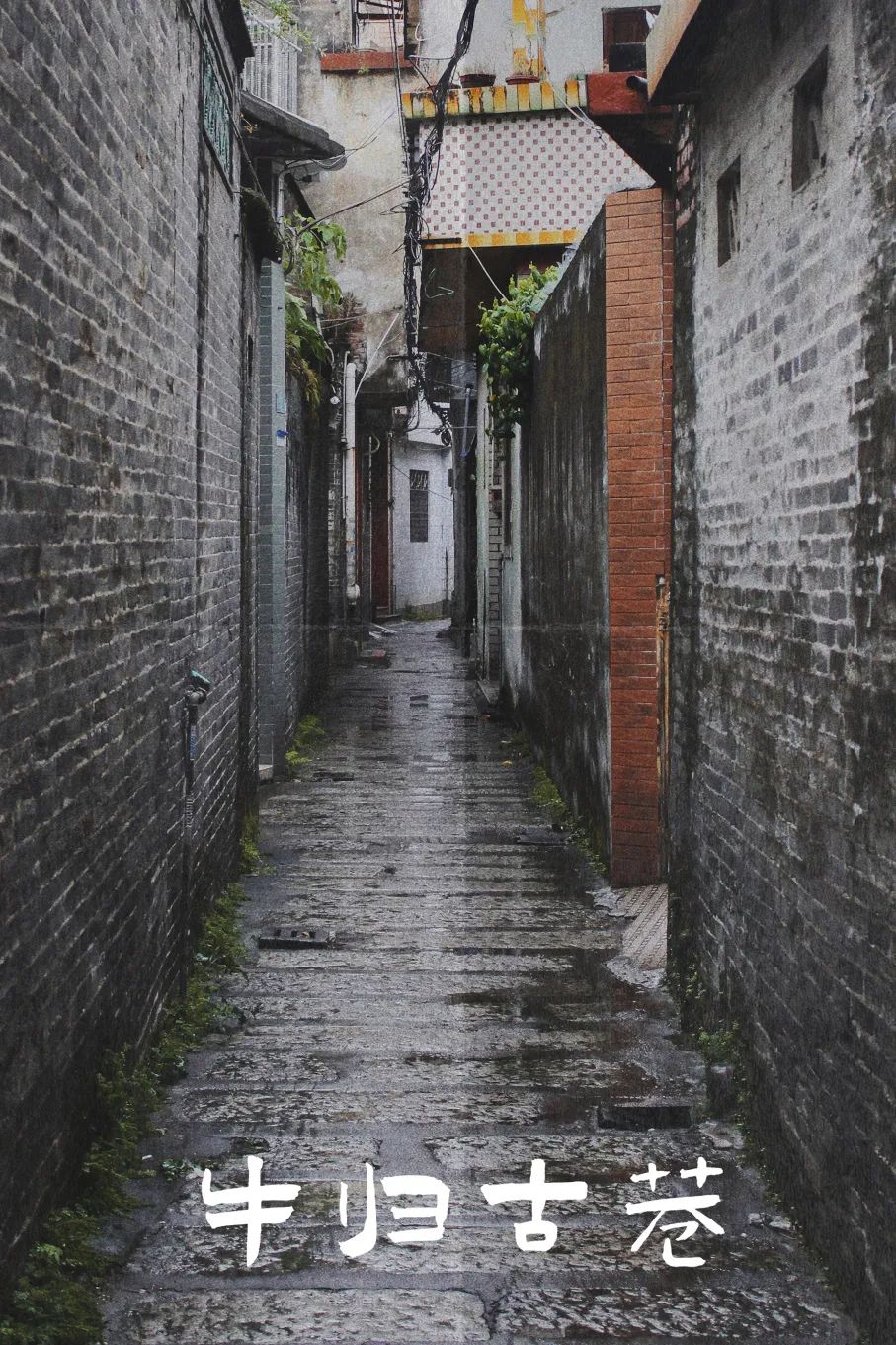 容桂老城记 | 隐藏在闹市中的古巷，曾有&ldquo;神牛&rdquo;出没？
